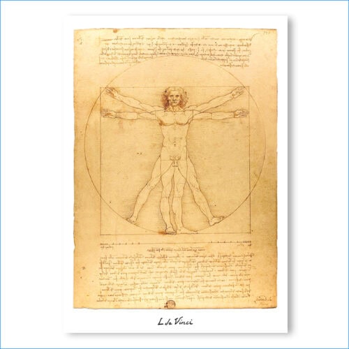 Plakat - Leonardo da Vinci - Człowiek witruwiański